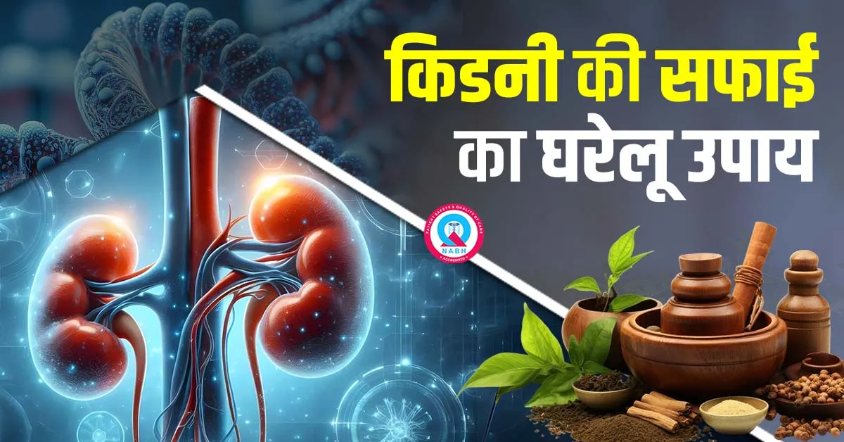 किडनी की सफाई का घरेलू उपाय